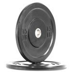 standard-bumper-plate-15lb-bp15-ob-1